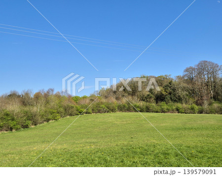 Green meadow under clear blue sky 139579091