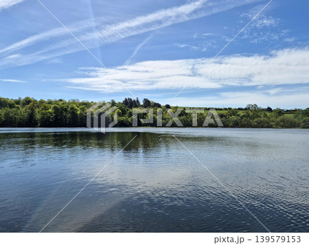 Tranquil lake with tree lined shore and blue sky Tranquil lake with tree lined shore and blue sky 139579153