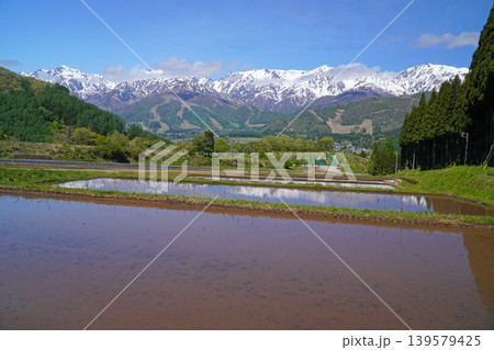 北アルプスと田園風景 139579425