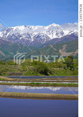 北アルプスと田園風景 北アルプスと田園風景 139579436
