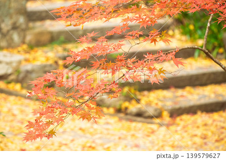 地元で愛される紅葉の名所京都府亀岡市神蔵寺を撮影 地元で愛される紅葉の名所京都府亀岡市神蔵寺を撮影 139579627