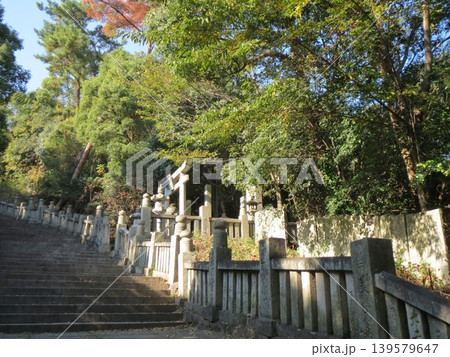 2014年・香川・観音寺・八幡・風景・神社・琴引八幡宮・其の六十 2014年・香川・観音寺・八幡・風景・神社・琴引八幡宮・其の六十 139579647