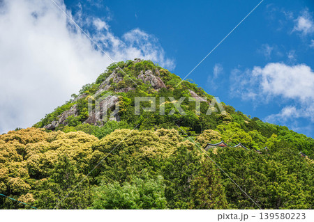 新緑の赤神山(太郎坊山) 滋賀県東近江市 新緑の赤神山(太郎坊山) 滋賀県東近江市 139580223