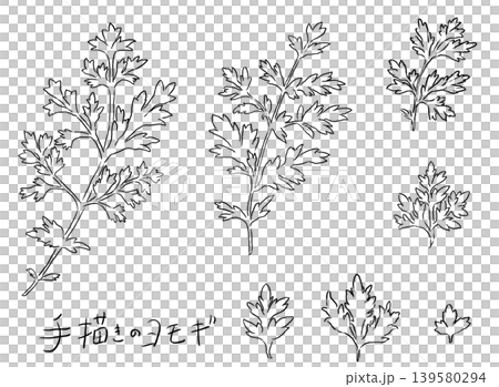 一組手繪艾草葉的線條藝術插圖。 139580294