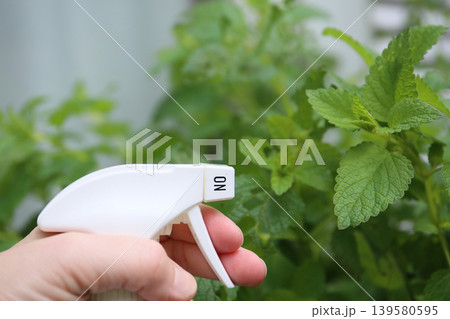 庭の害虫、害虫の虫退治 139580595