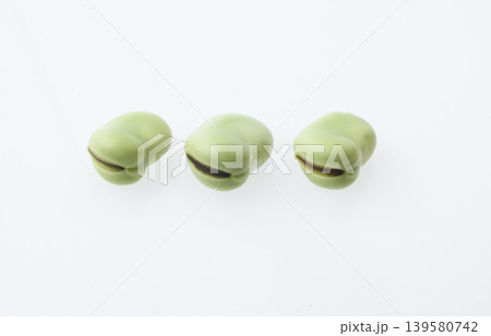 そら豆 スタジオ撮影 そら豆 スタジオ撮影 139580742