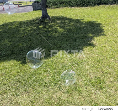 芝生の上に浮かぶシャボン玉1 芝生の上に浮かぶシャボン玉1 139580951