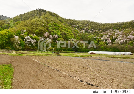 里山の春の田園風景 里山の春の田園風景 139580980