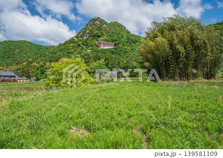 新緑の赤神山(太郎坊山) 滋賀県東近江市 新緑の赤神山(太郎坊山) 滋賀県東近江市 139581109