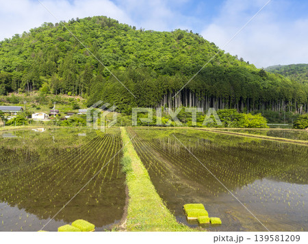 京都府南丹市美山町　苗が植えられた水田の風景 139581209