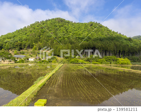 京都府南丹市美山町 苗が植えられた水田の風景 京都府南丹市美山町 苗が植えられた水田の風景 139581211