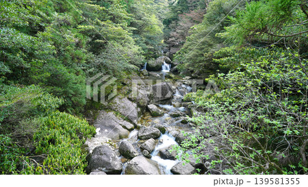 縄文杉トレッキング 屋久島 縄文杉トレッキング 屋久島 139581355
