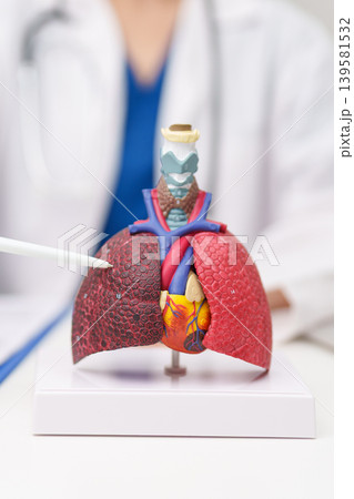 Doctor with Smoker Lung anatomy with magnifying glass. Lung Cancer, Asthma, Chronic Obstructive Pulmonary or COPD, Bronchitis, Emphysema, Cystic Fibrosis, Bronchiectasis, Pneumonia and world Lung day Doctor with Smoker Lung anatomy with magnifying glass. Lung Cancer, Asthma, Chronic Obstructive Pulmonary or COPD, Bronchitis, Emphysema, Cystic Fibrosis, Bronchiectasis, Pneumonia and world Lung day 139581532