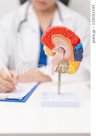 Doctor with human Brain anatomy model. World Brain Tumor day, Brain Stroke, Dementia, alzheimer, parkinson, mental health, neurological disorders and Dementia concept Doctor with human Brain anatomy model. World Brain Tumor day, Brain Stroke, Dementia, alzheimer, parkinson, mental health, neurological disorders and Dementia concept 139581545