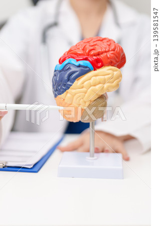 Doctor with human Brain anatomy model. World Brain Tumor day, Brain Stroke, Dementia, alzheimer, parkinson, mental health, neurological disorders and Dementia concept Doctor with human Brain anatomy model. World Brain Tumor day, Brain Stroke, Dementia, alzheimer, parkinson, mental health, neurological disorders and Dementia concept 139581547