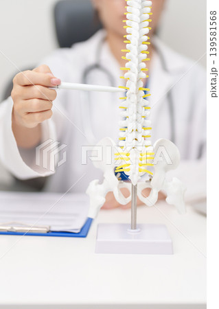 Doctor with human Spine anatomy model. Spinal Cord Disorder and disease, Back pain, Lumbar, Sacral pelvis, Cervical neck, Thoracic, Coccyx, Orthopedist, chiropractic, Office Syndrome and health 139581568