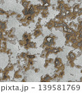 Heavy Crusty Rust Metal Seamless Texture 139581769