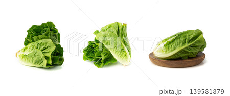 Two romaine lettuce salad isolated. Cos green leaves, fresh romain salat head, raw cabbage Two romaine lettuce salad isolated. Cos green leaves, fresh romain salat head, raw cabbage 139581879