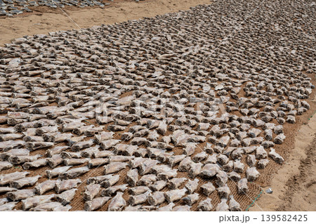 Drying fish on beach, many salted fish 139582425