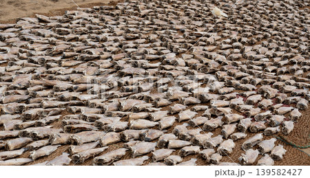 Drying fish on beach, many salted fish 139582427