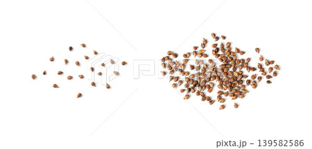 Grape seeds ready for oil extraction Grape seeds ready for oil extraction 139582586