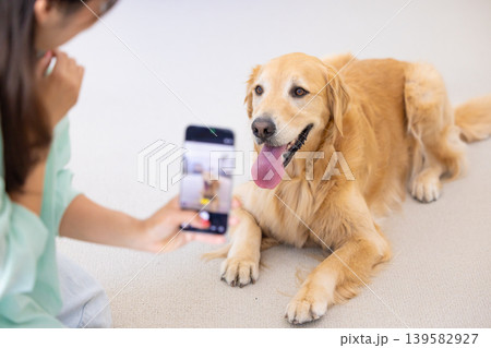 ペット 犬 ゴールデンレトリーバー リビングでペットの写真を撮る飼い主 ペット 犬 ゴールデンレトリーバー リビングでペットの写真を撮る飼い主 139582927
