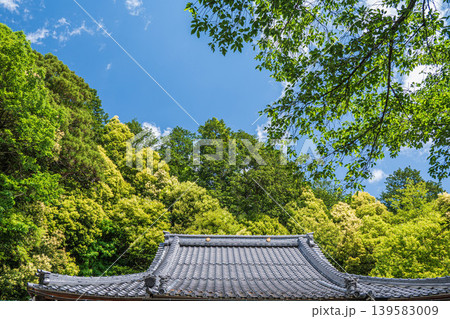 新緑の阿賀神社境内　滋賀県東近江市 139583009