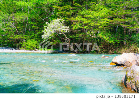 【清流素材】初夏の上高地の梓川【長野県】 【清流素材】初夏の上高地の梓川【長野県】 139583171