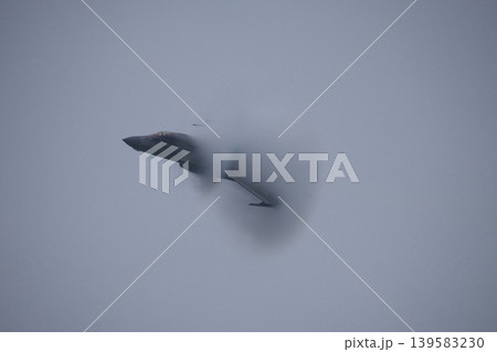 F-35Cによるデモフライト F-35Cによるデモフライト 139583230
