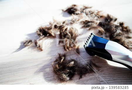 Electric hair clipper for Barber. Clipping hair in home. Trimmer next cut hair. Trimmer to cuthair 139583285