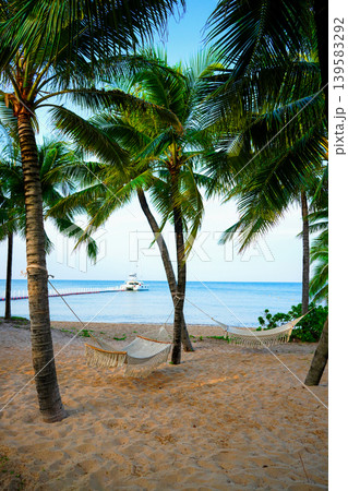 Hammock on sea beach resort. Island holiday. Hammock under palm trees on tropical at ocean Hammock on sea beach resort. Island holiday. Hammock under palm trees on tropical at ocean 139583292