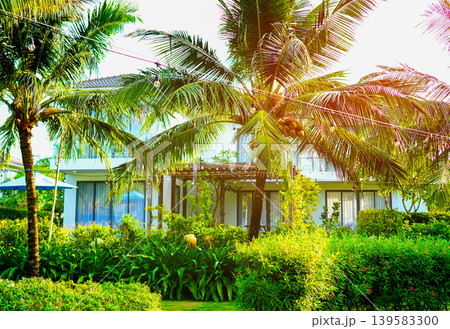 Palm trees on villa resort spa. Modern villa complex is surrounded by lush tropical greenery 139583300