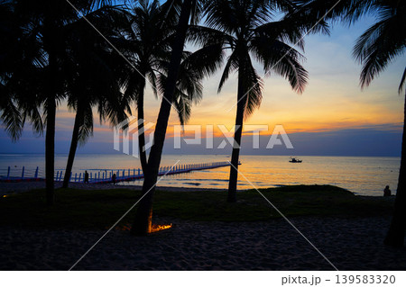 Sunset beach with palm trees and pier in coastal resort in evening hours. People relax on sand  139583320