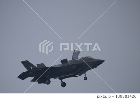 ANAとF-35Bの共演 139583426