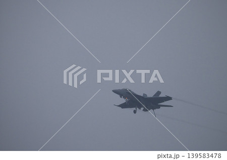着陸体制のF/A-18スーパーホーネット 139583478