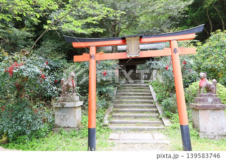 京都市山科区にある日向大神宮境内の入り口石段の風景 京都市山科区にある日向大神宮境内の入り口石段の風景 139583746