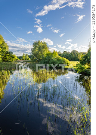 Tranquil serene spring summer lake reflection with trees and colorful outdoors meadow creating peaceful natural scenery for environmental background and seasonal landscape design 139584178