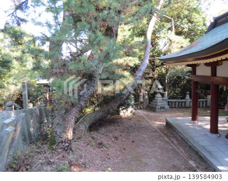 2014年・香川・観音寺・八幡・風景・神社・琴引八幡宮・其の八十 2014年・香川・観音寺・八幡・風景・神社・琴引八幡宮・其の八十 139584903