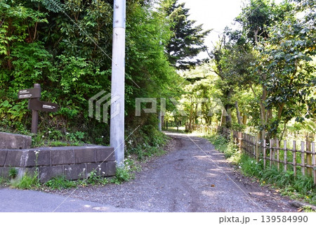 鎌倉市 山崎・台峯緑地道しるべと新緑 鎌倉市 山崎・台峯緑地道しるべと新緑 139584990