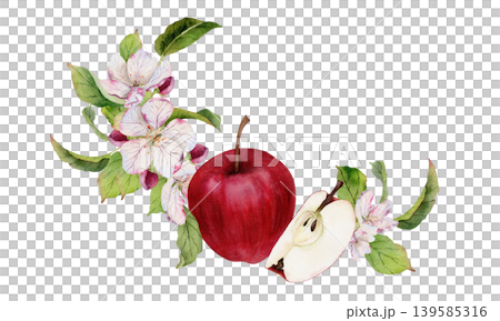 Hand painted watercolor composition with red apple, sliced half, delicate apple blossoms and green leaves, botanical spring fruit arrangement isolated on white, natural orchard harvest illustration Hand painted watercolor composition with red apple, sliced half, delicate apple blossoms and green leaves, botanical spring fruit arrangement isolated on white, natural orchard harvest illustration 139585316