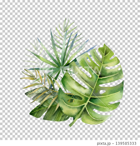 Watercolor illustration of tropical leaves composition on white background. Hand painted jungle botanical element for banner, frame, nursery decor and kids poster design 139585333