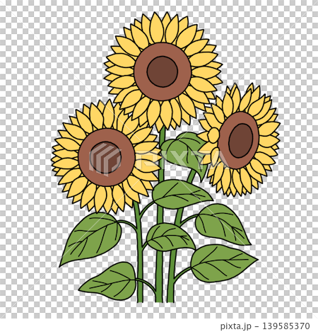 三輪のひまわりのイラスト 139585370