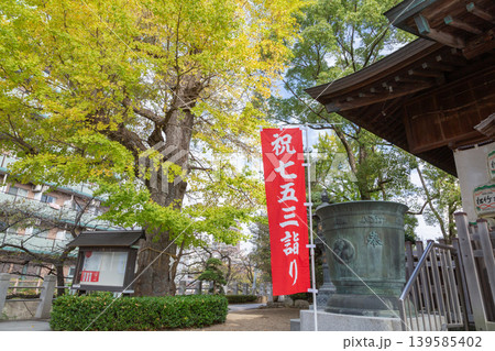 【日本】千葉県の松戸神社の本殿の前に掲げられた祝七五三詣りの赤い幟と紅葉したイチョウの木 【日本】千葉県の松戸神社の本殿の前に掲げられた祝七五三詣りの赤い幟と紅葉したイチョウの木 139585402
