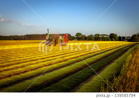 Flax fields in Normandy, France Flax fields in Normandy, France 139585784