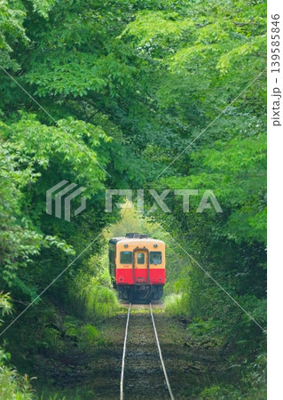 小湊鐵道　養老渓谷〜上総大久保駅 139585846