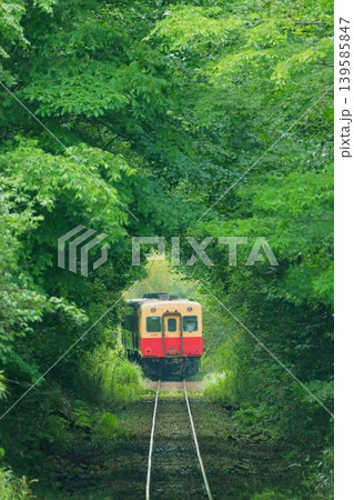 小湊鐵道　養老渓谷〜上総大久保駅 139585847