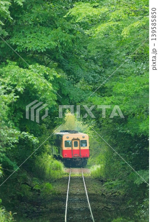 小湊鐵道　養老渓谷〜上総大久保駅 139585850