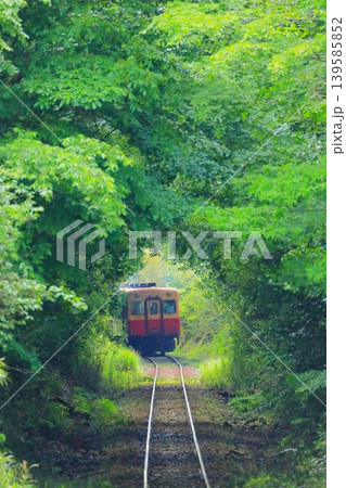 小湊鐵道　養老渓谷〜上総大久保駅 139585852