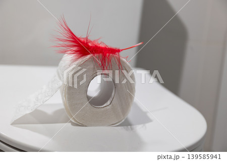 White toilet paper roll with soft red feather inserted on bathroom toilet seat. Gentle wiping concept for hemorrhoid prevention and sensitive anal area 139585941