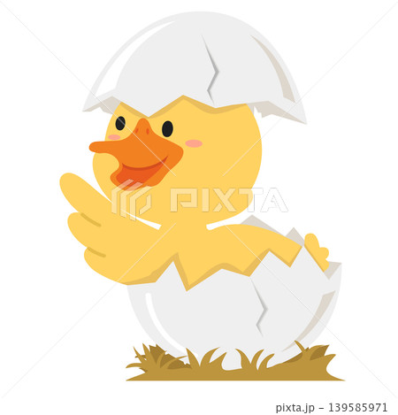 Cute Duckling Hatching From Egg With Happy Expression Cute Duckling Hatching From Egg With Happy Expression 139585971
